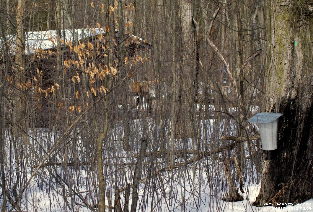 34317CrLe - A fabulous March Break Weekend with Beth at Wye Marsh and Midland